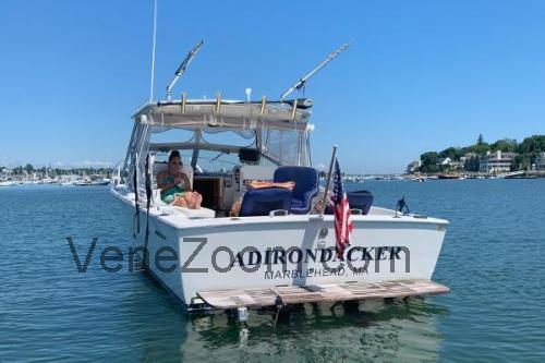 Bertram 26 Tekniset tiedot ja arvostelut